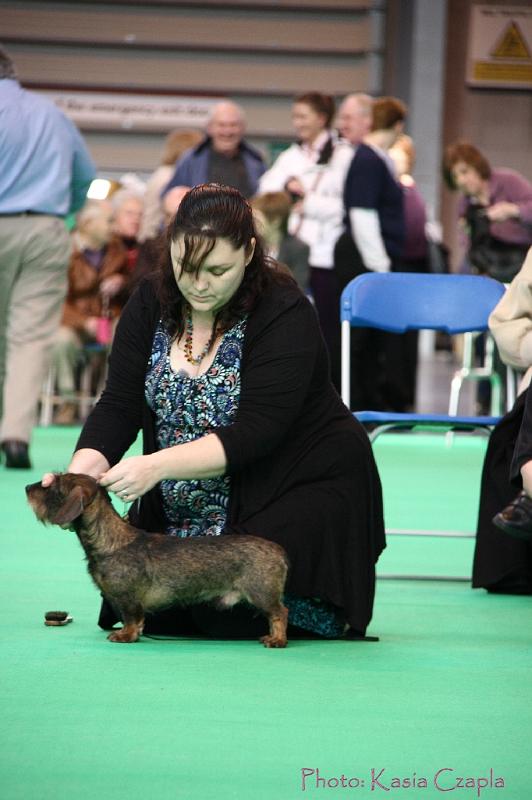 Crufts2011_2 792.jpg